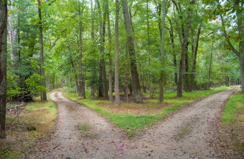 Two contrasting paths, one leading to victimhood and the other to empowerment, representing the choices we have in our mindset.