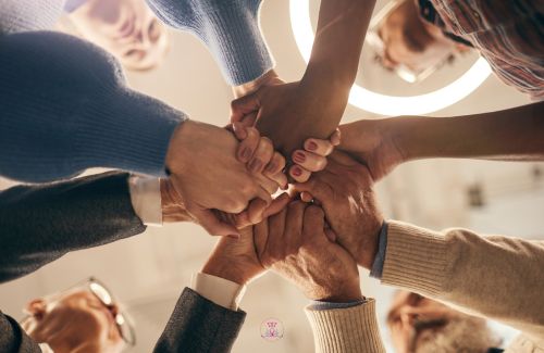 A diverse group of people holding hands, symbolizing unity and the celebration of equality.