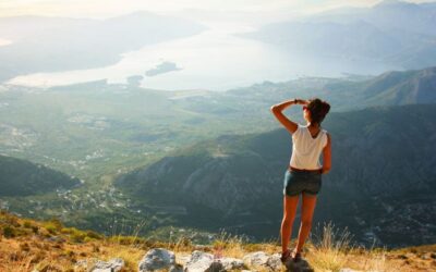 The Power of Imagination, Visualization, and Dreams