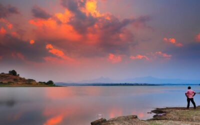 Unveiling the Shadows Within: Navigating the Realm of Ego