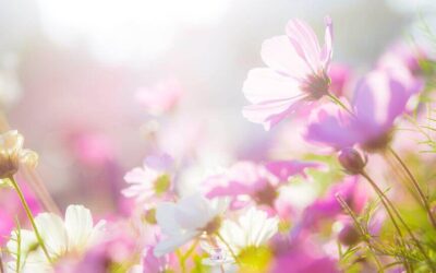 The Power of Compassion: Choosing Love Over Judgment