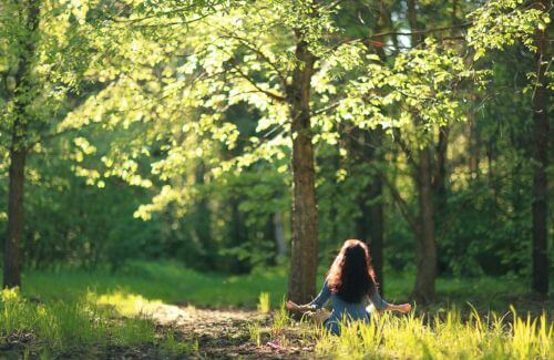 Nature and meditation.