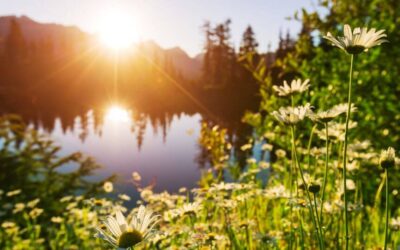 The Profound Power of Silence: Nurturing Inner Peace