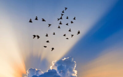 Honoring Truth: Embracing Authenticity and Integrity