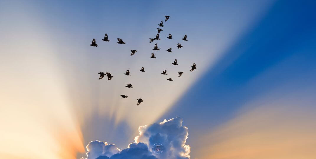 A serene scene of sky, symbolizing the peace that comes with living authentically.