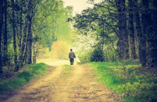 A tranquil landscape with a solitary figure walking a path.