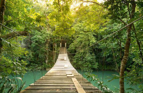 Spiritual Growth in Relationships - A path in a tranquil forest, symbolizing a spiritual journey