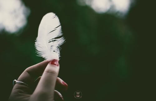 Power of Personal Choice - A close-up of hands releasing a white feather into the wind.