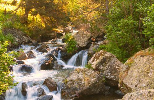 What You Focus on Becomes Reality - A vibrant nature scene with a flowing stream and soft sunlight filtering through trees.